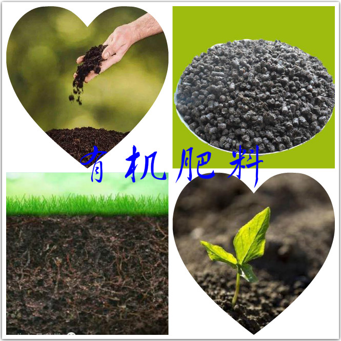 2-20111Z9433N28.jpg 2-20111Z9433N28.jpg